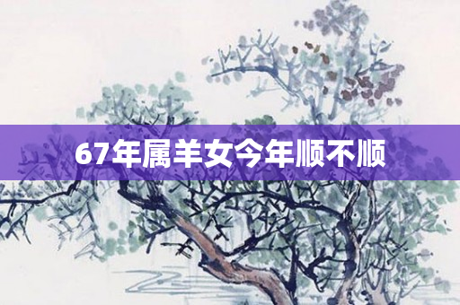 67年属羊女今年顺不顺