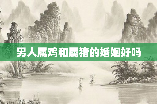 男人属鸡和属猪的婚姻好吗