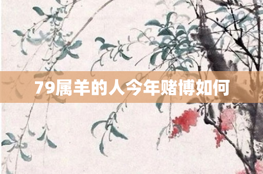 79属羊的人今年赌博如何