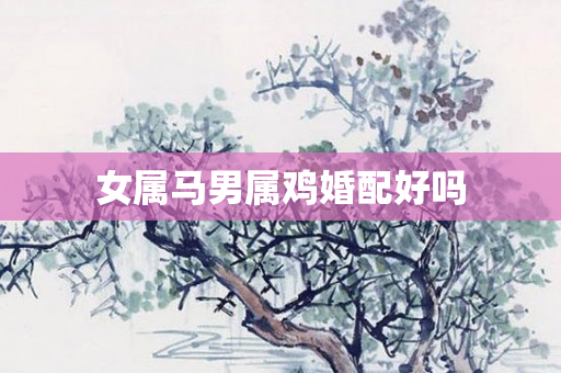 女属马男属鸡婚配好吗