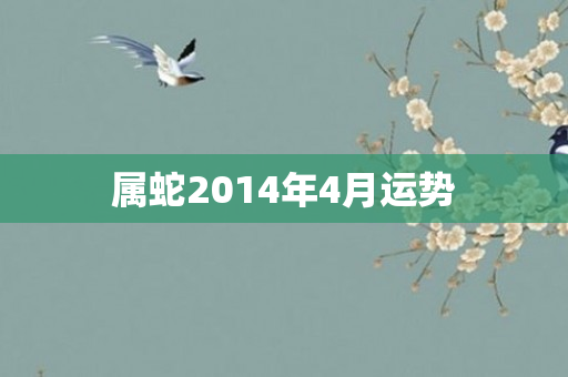 属蛇2014年4月运势