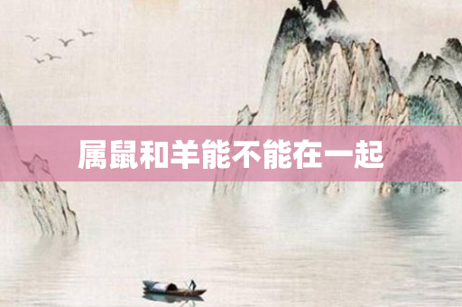 属鼠和羊能不能在一起