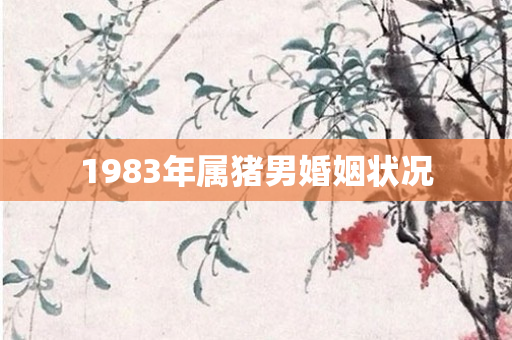 1983年属猪男婚姻状况