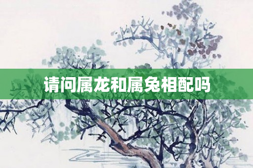 请问属龙和属兔相配吗