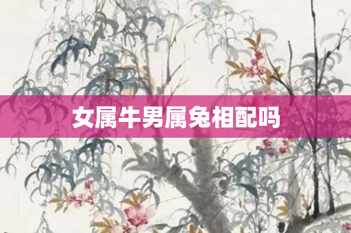 女属牛男属兔相配吗