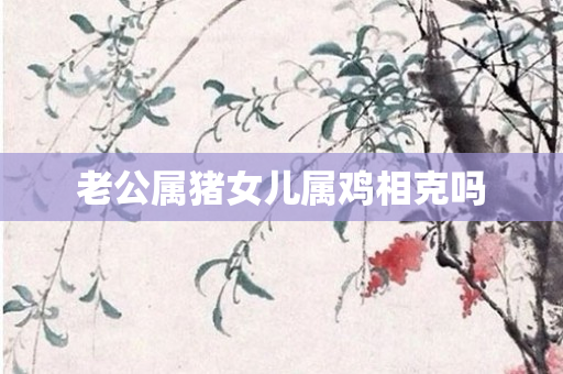 老公属猪女儿属鸡相克吗