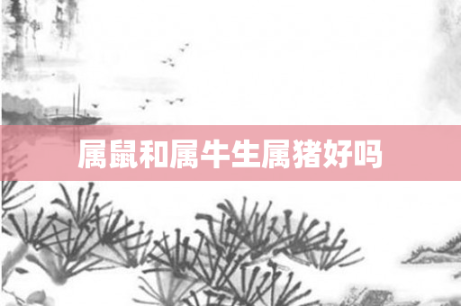 属鼠和属牛生属猪好吗