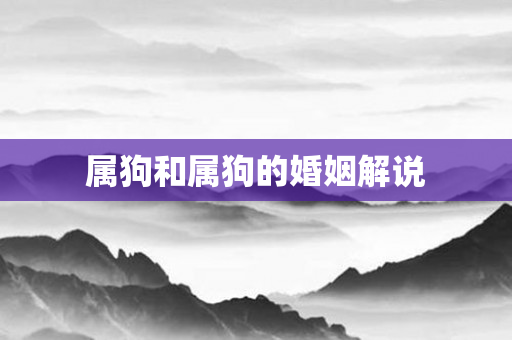 属狗和属狗的婚姻解说