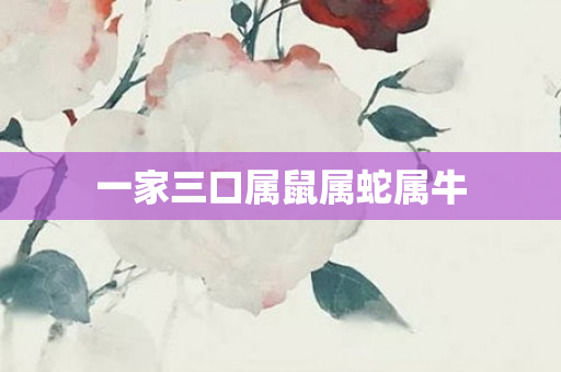 一家三口属鼠属蛇属牛