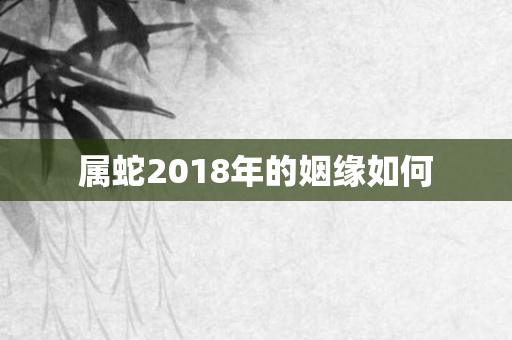 属蛇2018年的姻缘如何