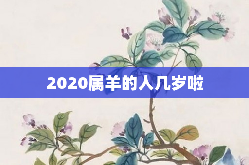 2020属羊的人几岁啦