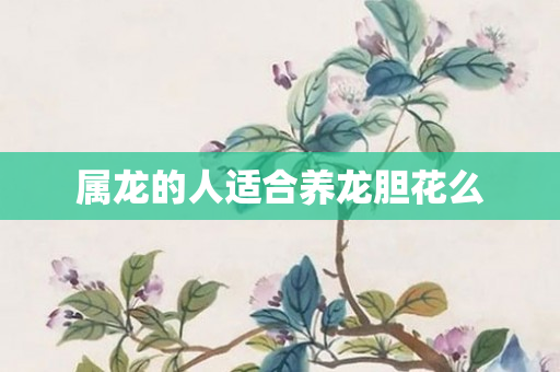 属龙的人适合养龙胆花么