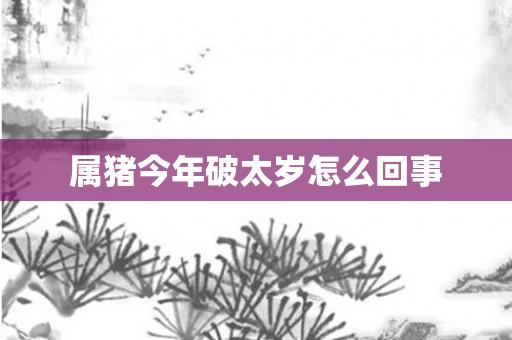 属猪今年破太岁怎么回事