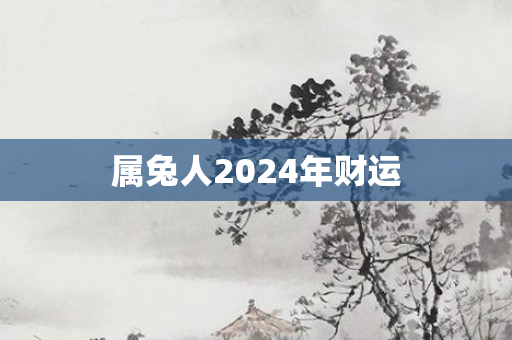 属兔人2024年财运