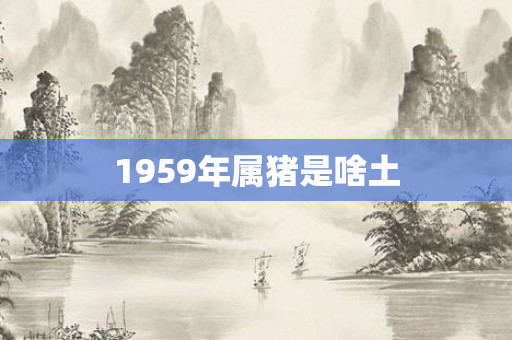 1959年属猪是啥土