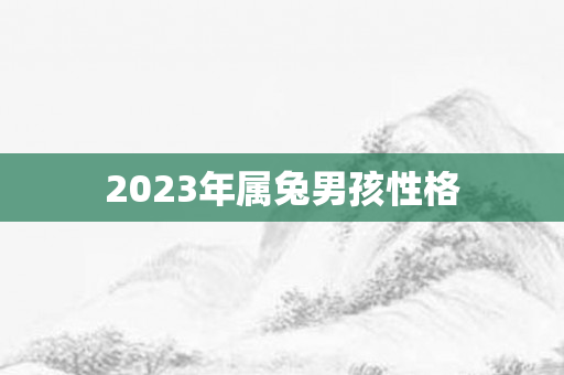 2023年属兔男孩性格