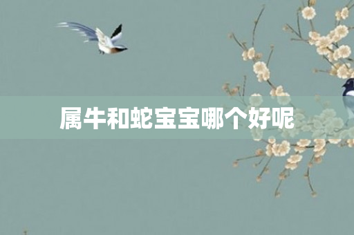 属牛和蛇宝宝哪个好呢