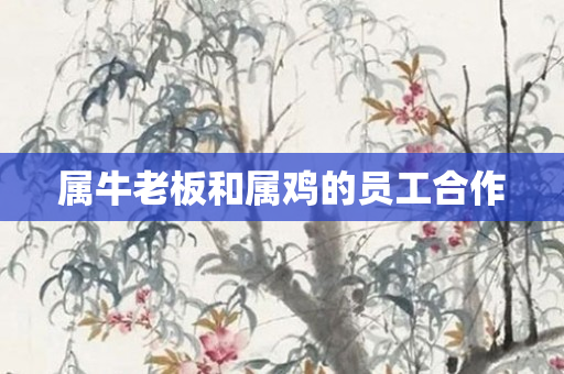 属牛老板和属鸡的员工合作