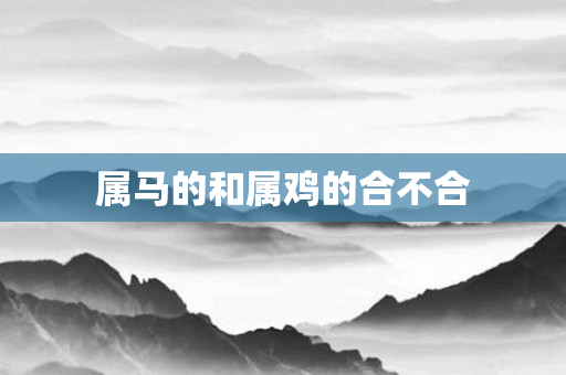 属马的和属鸡的合不合