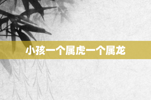 小孩一个属虎一个属龙