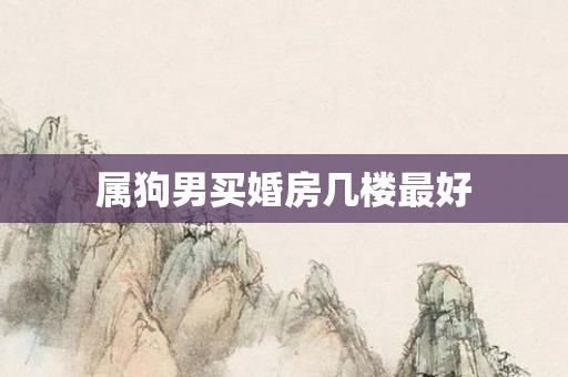 属狗男买婚房几楼更好