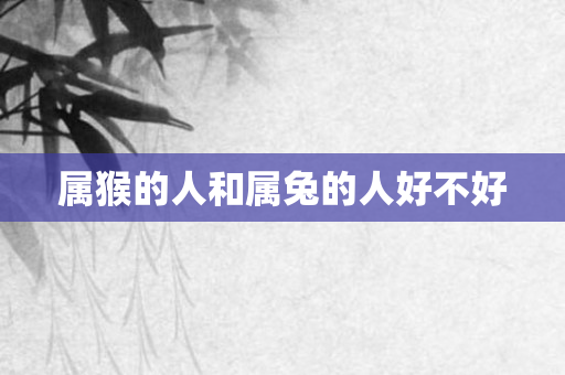 属猴的人和属兔的人好不好