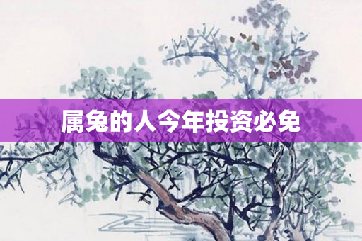 属兔的人今年投资必免