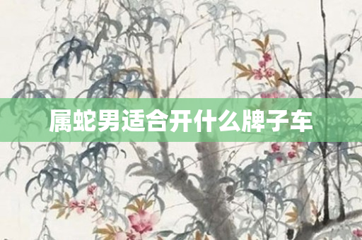 属蛇男适合开什么牌子车