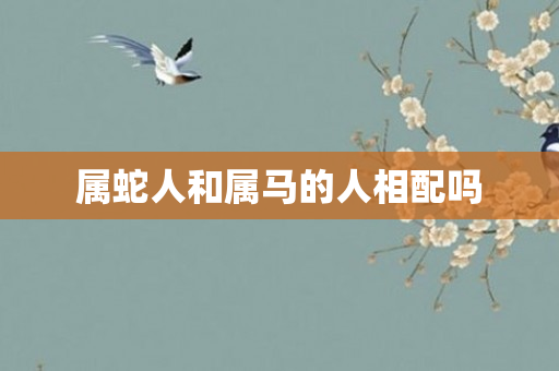 属蛇人和属马的人相配吗