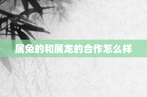 属兔的和属龙的合作怎么样