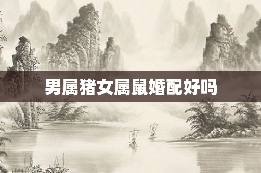 男属猪女属鼠婚配好吗
