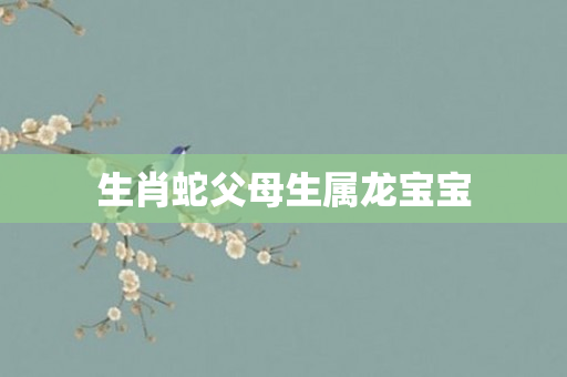 生肖蛇父母生属龙宝宝