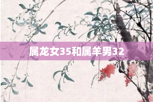 属龙女35和属羊男32