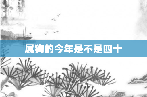 属狗的今年是不是四十