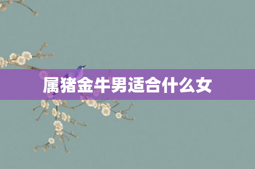 属猪金牛男适合什么女