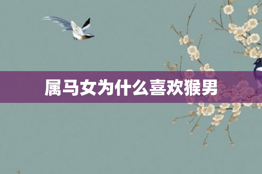 属马女为什么喜欢猴男