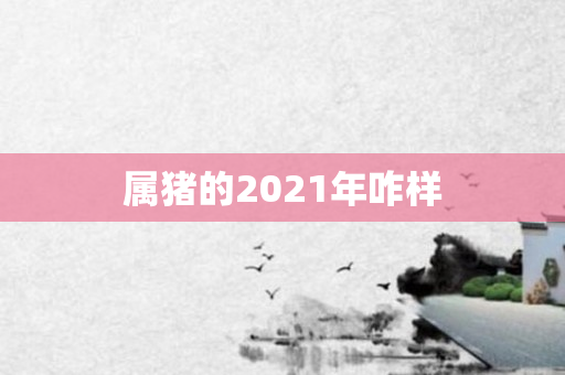 属猪的2021年咋样