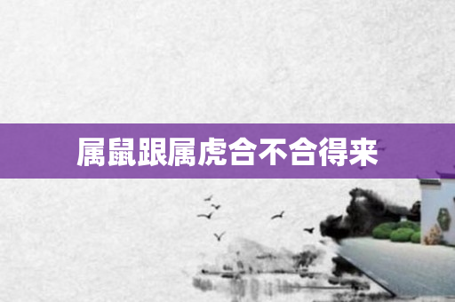 属鼠跟属虎合不合得来