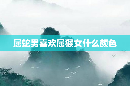 属蛇男喜欢属猴女什么颜色