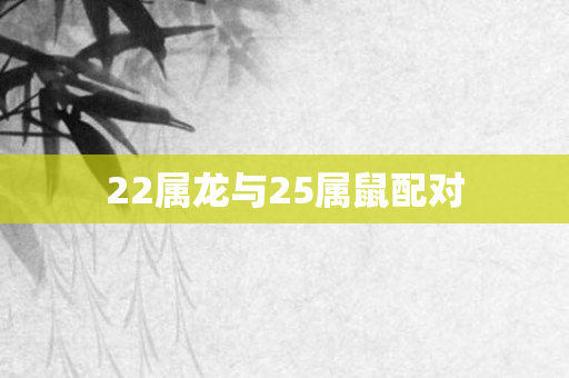 22属龙与25属鼠配对