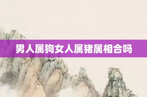男人属狗女人属猪属相合吗