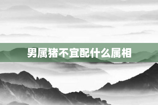 男属猪不宜配什么属相