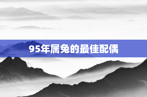 95年属兔的更佳配偶
