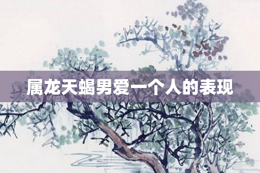 属龙天蝎男爱一个人的表现