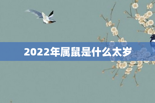 2022年属鼠是什么太岁