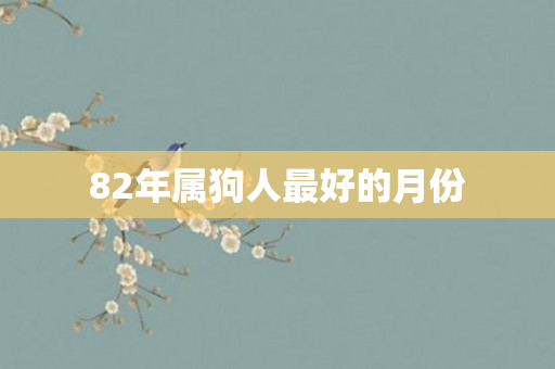 82年属狗人更好的月份