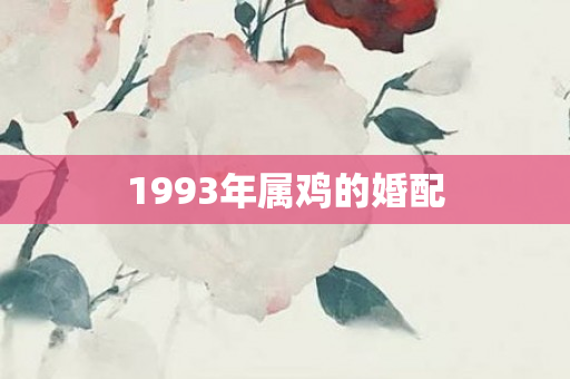 1993年属鸡的婚配