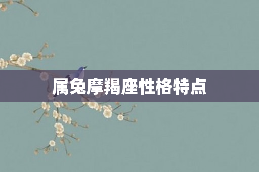 属兔摩羯座性格特点