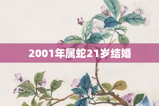 2001年属蛇21岁结婚