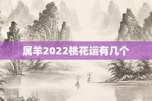 属羊2022桃花运有几个